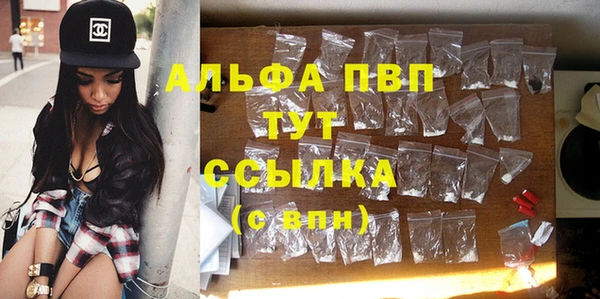 стаф Арсеньев