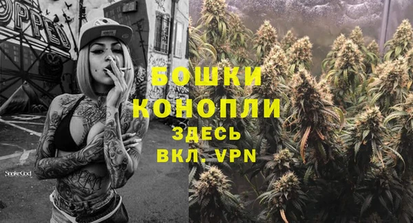 СК Аркадак