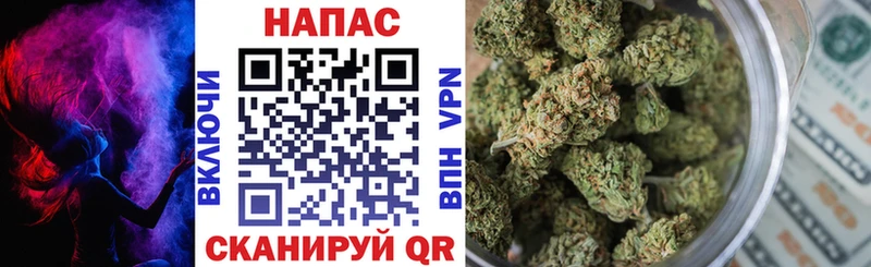 Купить где Нурлат Канабис семена